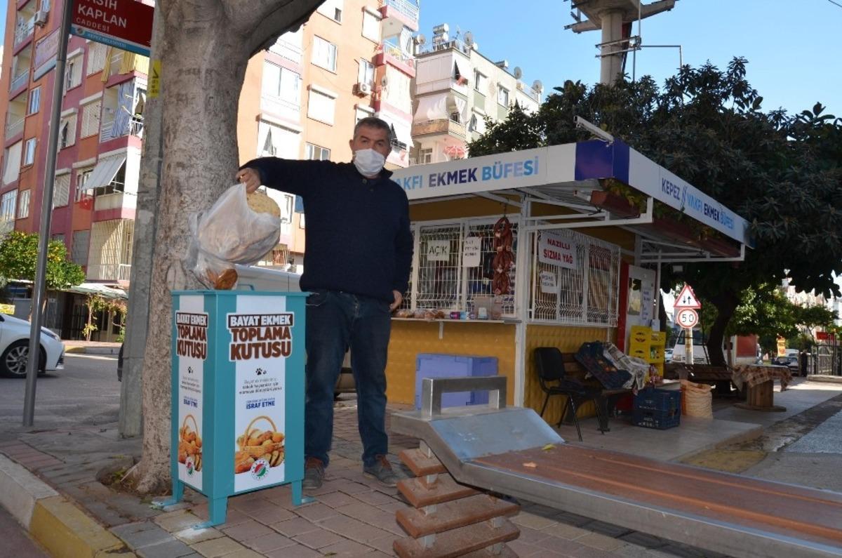 Kepez, sokak hayvanlarını kendi &uuml;rettiği mamalarla besliyor