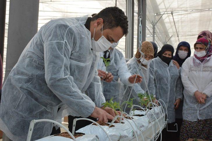 110 bin domates fidesi toprakla buluştu G2