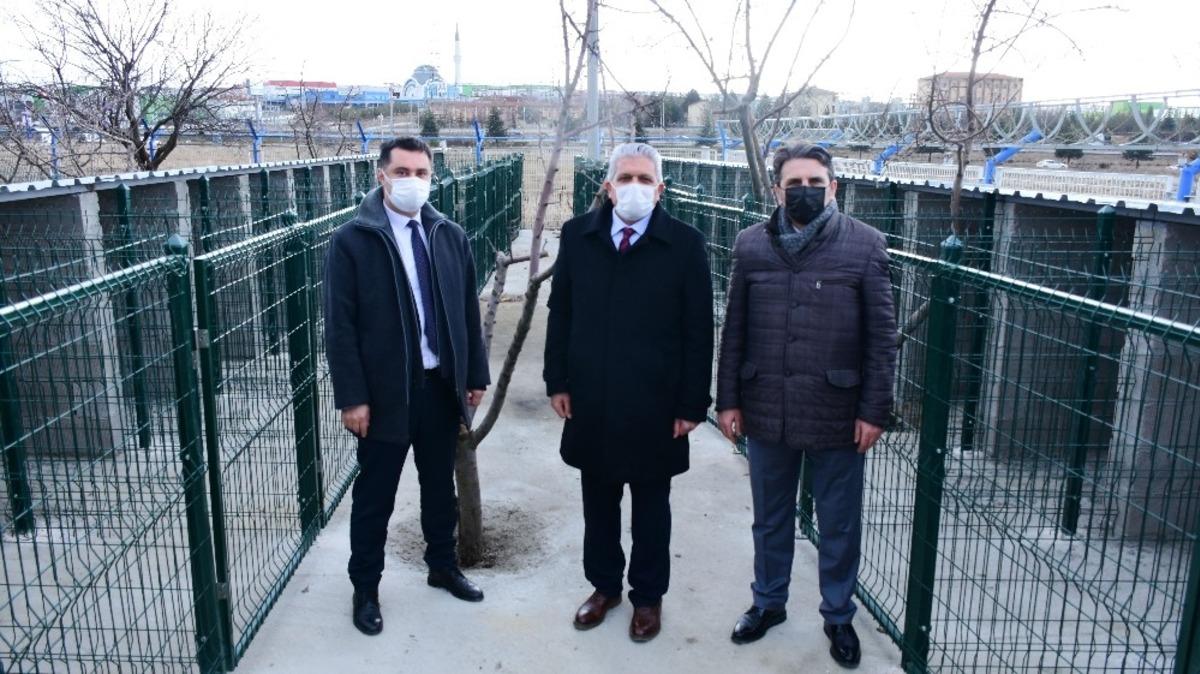 OSB sınırları i&ccedil;erisindeki sokak hayvanları i&ccedil;in rehabilitasyon merkezi kuruluyor