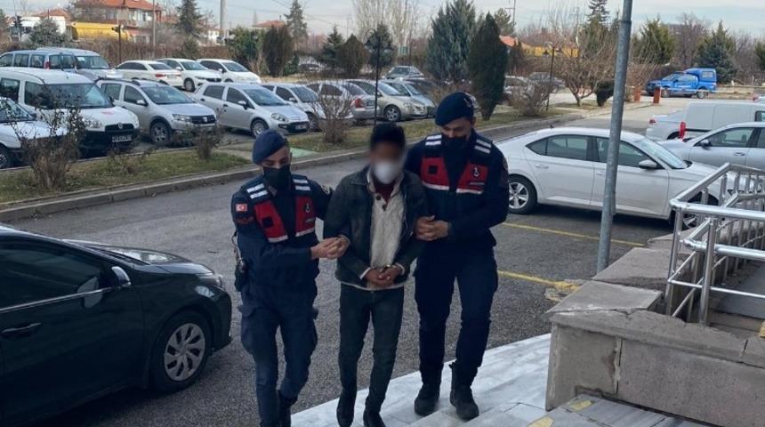 Meyve fidanı hırsızlığı jandarmaya yakalandı