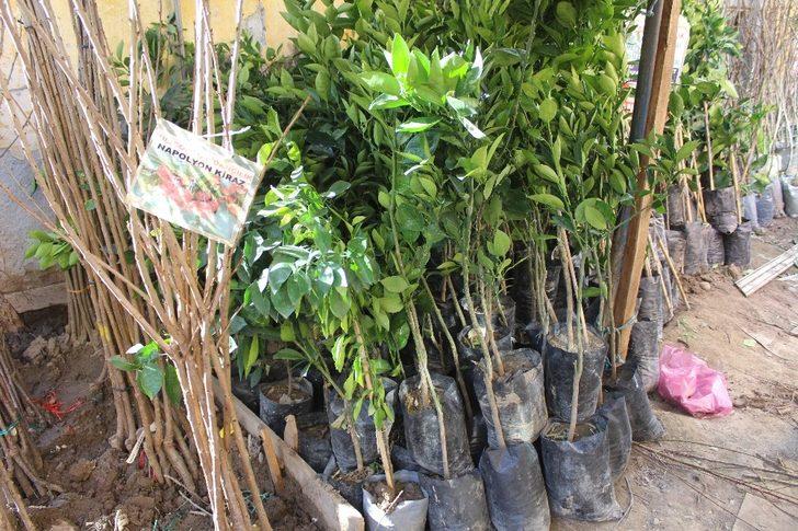 Fidan ve tohumda satış durgun G1