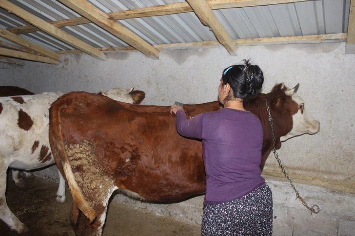 Engelli vatandaş İş-Kur desteği ile iş sahibi oldu G3