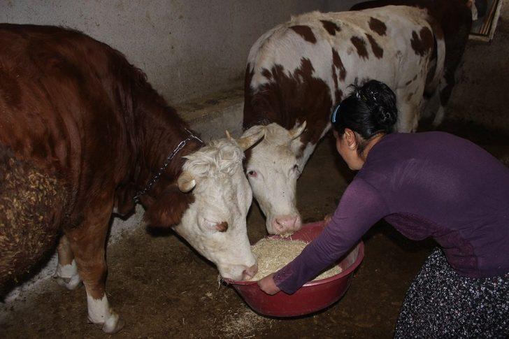 Engelli vatandaş İş-Kur desteği ile iş sahibi oldu G4