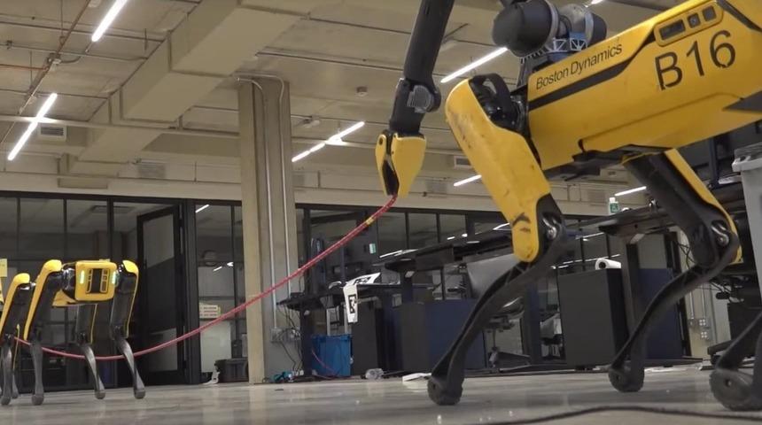 Boston Dynamics: Robot köpek Spot, artık her yerden kumanda edilebiliyor, ortalığı topluyor, ip atlıyor