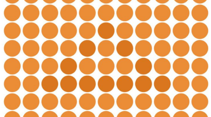 Bu resimdeki gizli şekilleri bularak görüşünüzü test edin! Ne kadar sürede bulabildiniz?