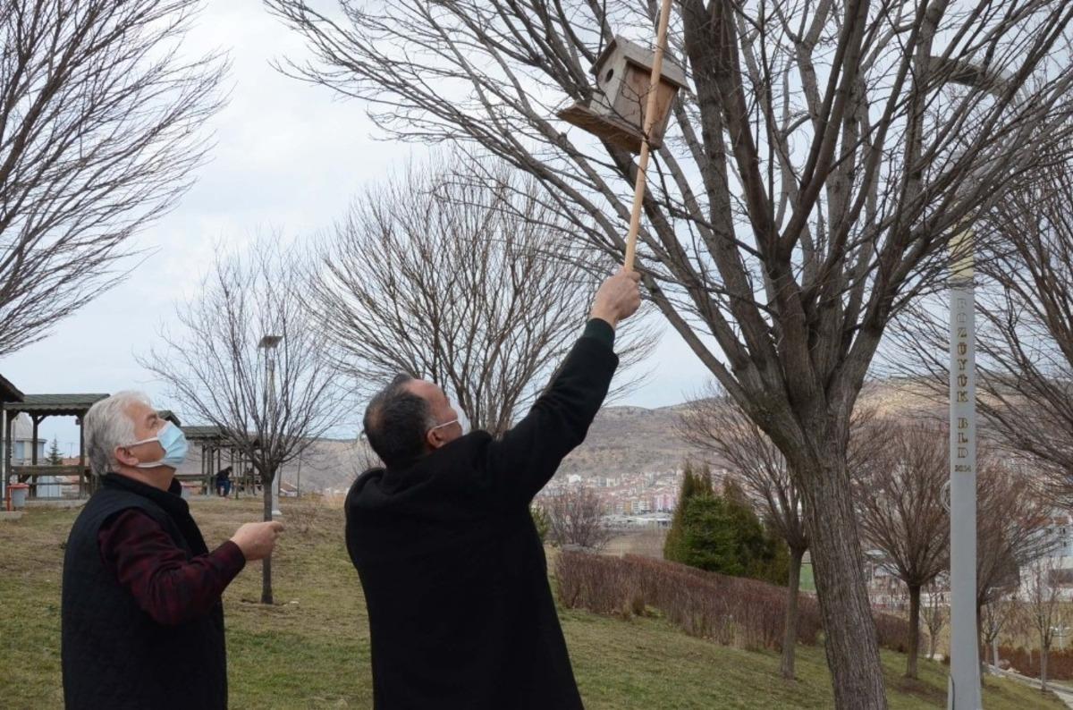 Kuş yuvaları ağa&ccedil;lardaki yerini aldı