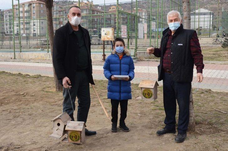 Kuş yuvaları ağaçlardaki yerini aldı G3