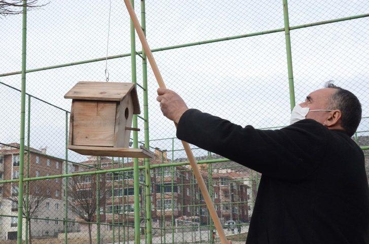 Kuş yuvaları ağaçlardaki yerini aldı G4