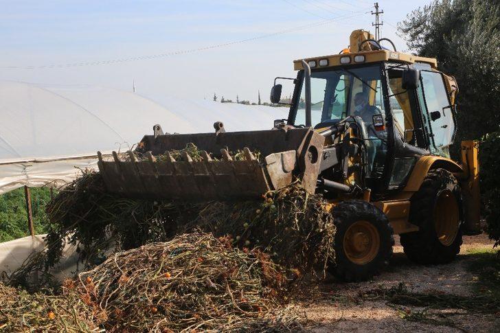 Erdemli Belediyesinden çiftçilere destek G3