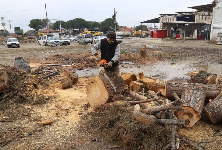 Turgutlu’da budanan ağaç dalları ihtiyaç sahiplerine yakacak oldu G1