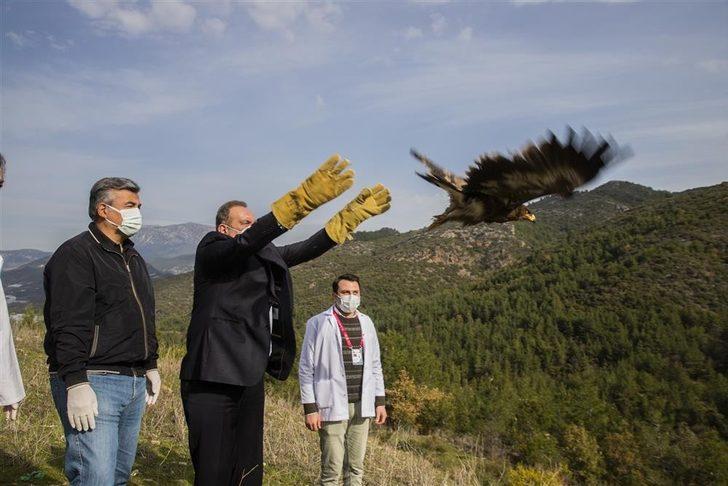 Alanya’da tedavisi tamamlanan 2 şahin ve kartal doğaya salındı G1