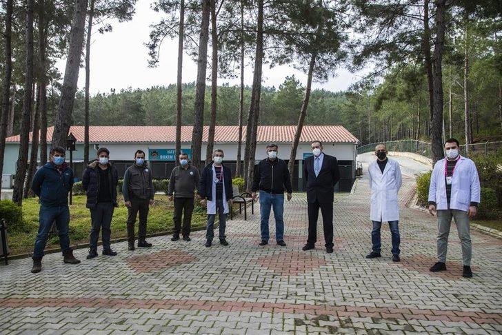 Alanya’da tedavisi tamamlanan 2 şahin ve kartal doğaya salındı G3