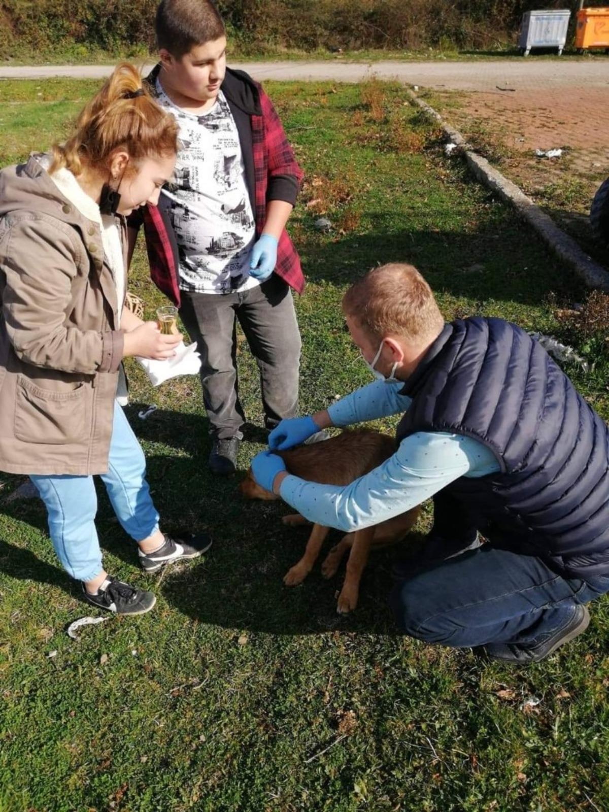 Cide&rsquo;de sokak hayvanları aşılandı