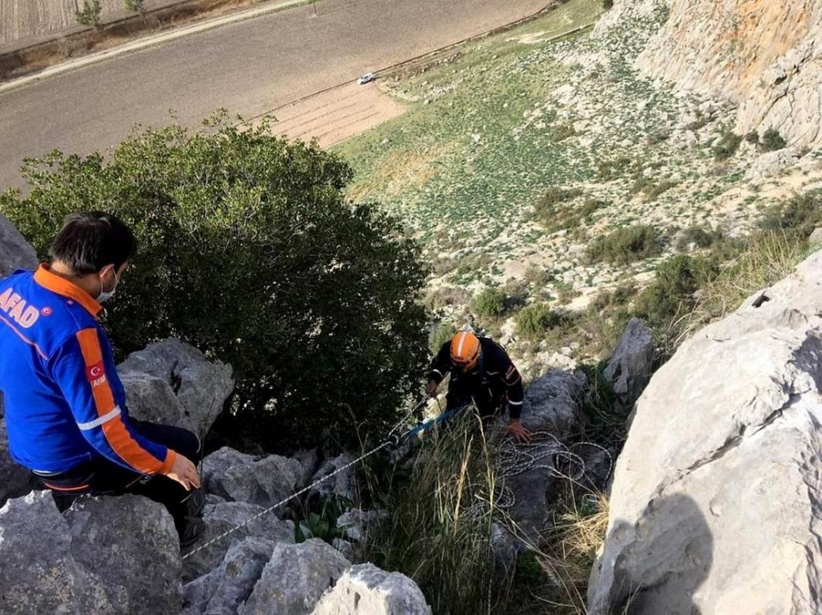 Kayalıklarda mahsur kalan ke&ccedil;ileri AFAD kurtardı