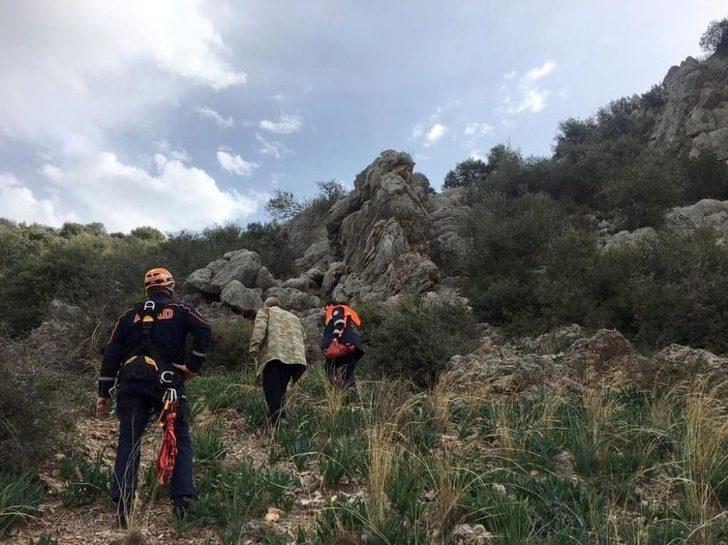 Kayalıklarda mahsur kalan keçileri AFAD kurtardı G2