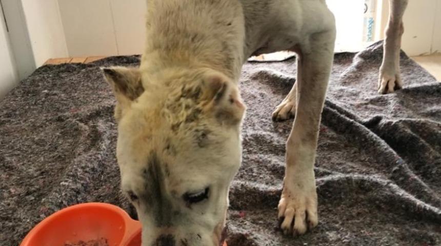 Büyükşehir Belediyesinden Kaşlı Bakımevi iddialarına yalanlama