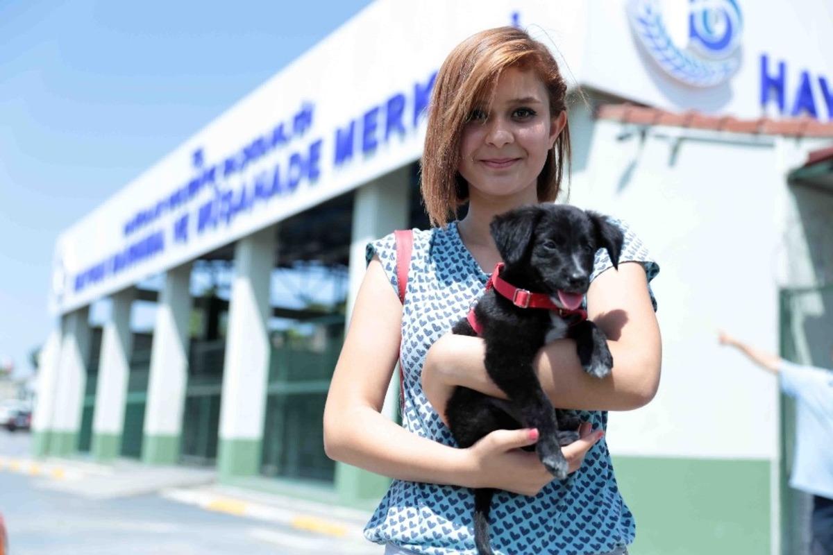 Bağcılar&rsquo;da 8 bin 506 sokak hayvanı tedavi edildi