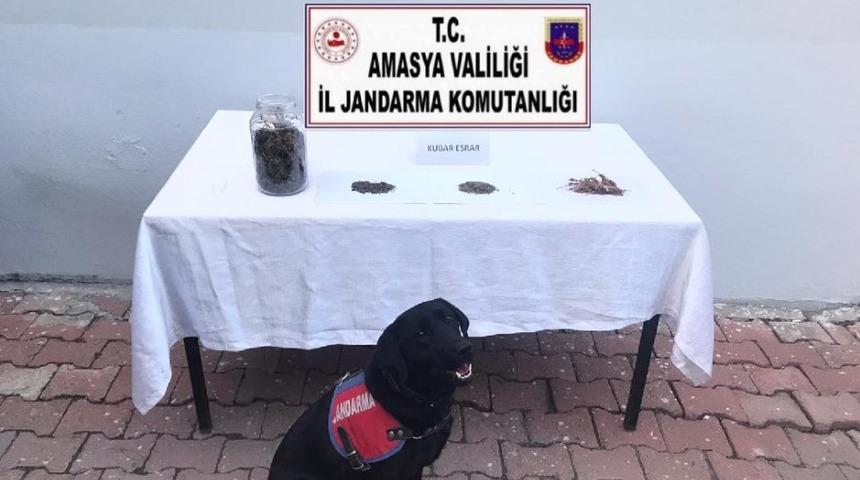 Amasya&rsquo;da uyuşturucu satıcılarına operasyon: 1 tutuklama
