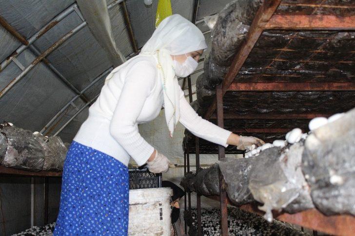 Hibeyle başladı, taleplere yetişemiyor G3