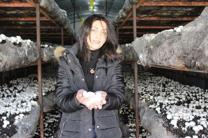 Hibeyle başladı, taleplere yetişemiyor G5