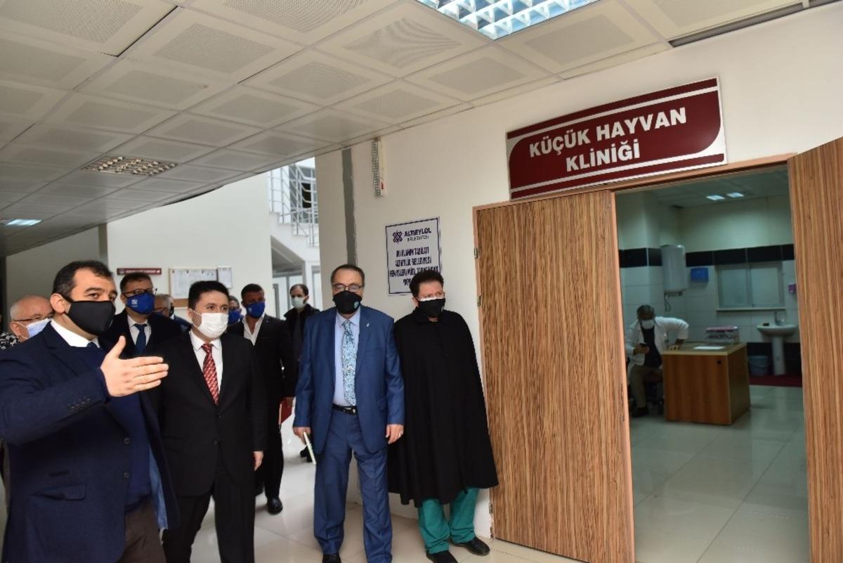 Altıeyl&uuml;l&rsquo;den hayvan sağlığına b&uuml;y&uuml;k destek