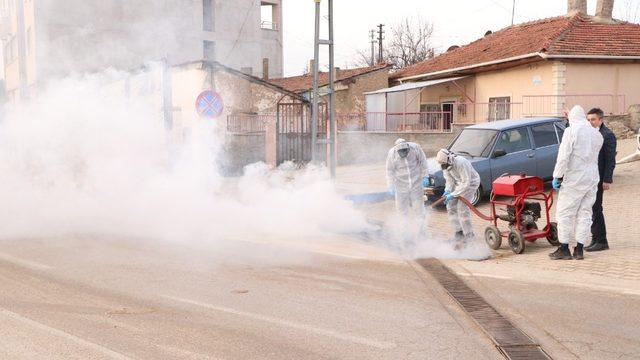 Yahşihan Belediyesinden larva ilaçlaması