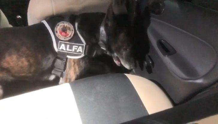 Otomobilin yakıt deposunu uyuşturucu zulasına çevirmişler G3