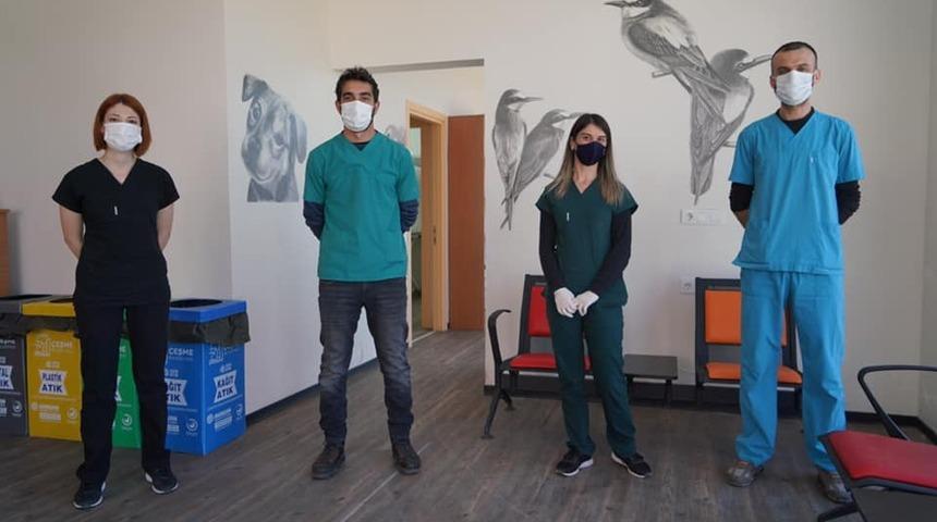 Çeşme’de bir ayda 177 sokak hayvanı tedavi edildi