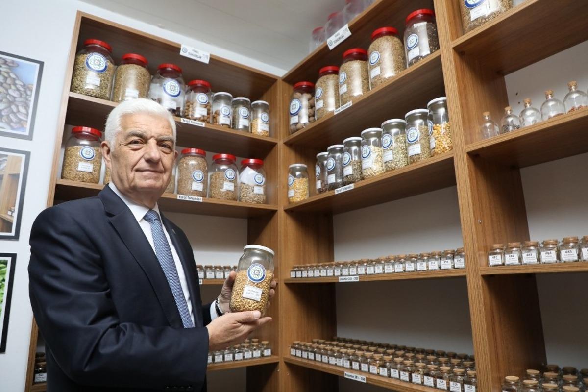 B&uuml;y&uuml;kşehir, yerel tohumların dağıtımına başladı