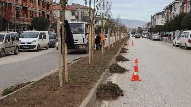 Refüjlerin görsel zenginliği artıyor