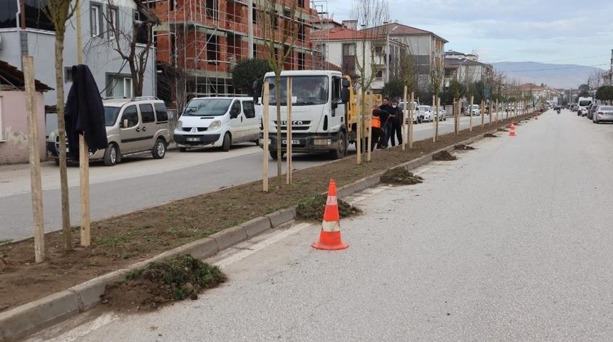 Ref&uuml;jlerin g&ouml;rsel zenginliği artıyor