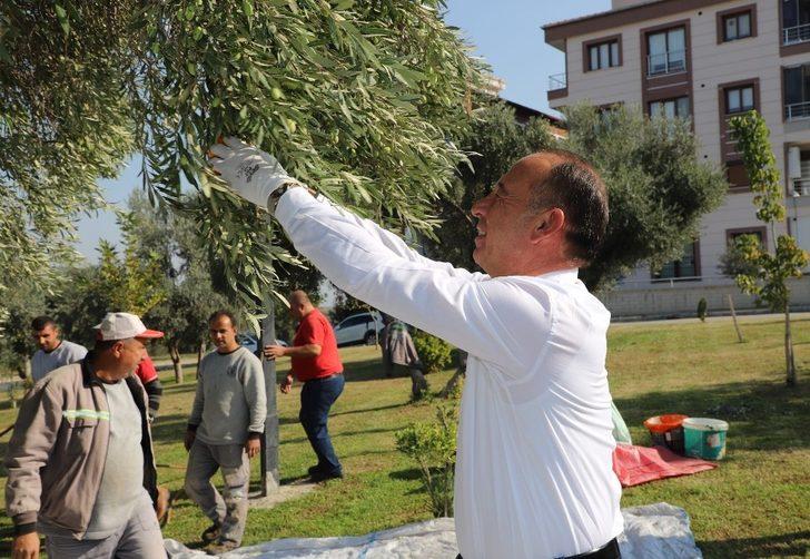 Turgutlu Belediyesi bin 442 kilogram zeytin yağı elde etti G1