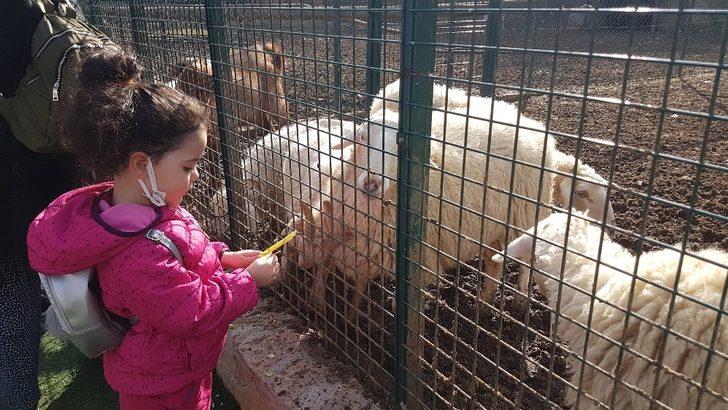 Keçiören’deki çocuklar doğal yaşam parkına akın etti G3