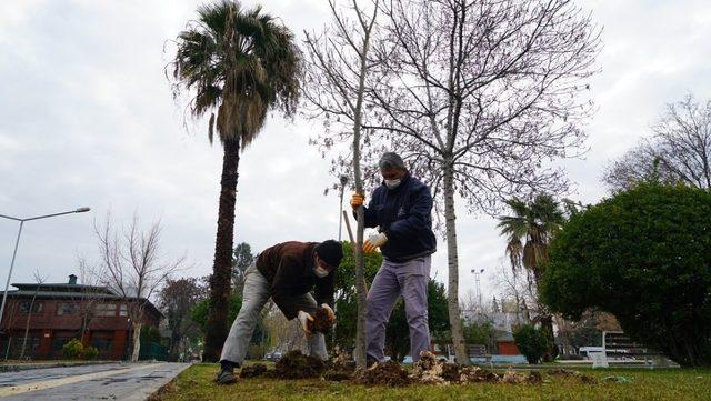 Mimar Sinan Parkında ağaçlandırma çalışması