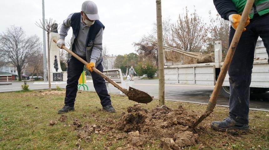 Mimar Sinan Parkında ağa&ccedil;landırma &ccedil;alışması