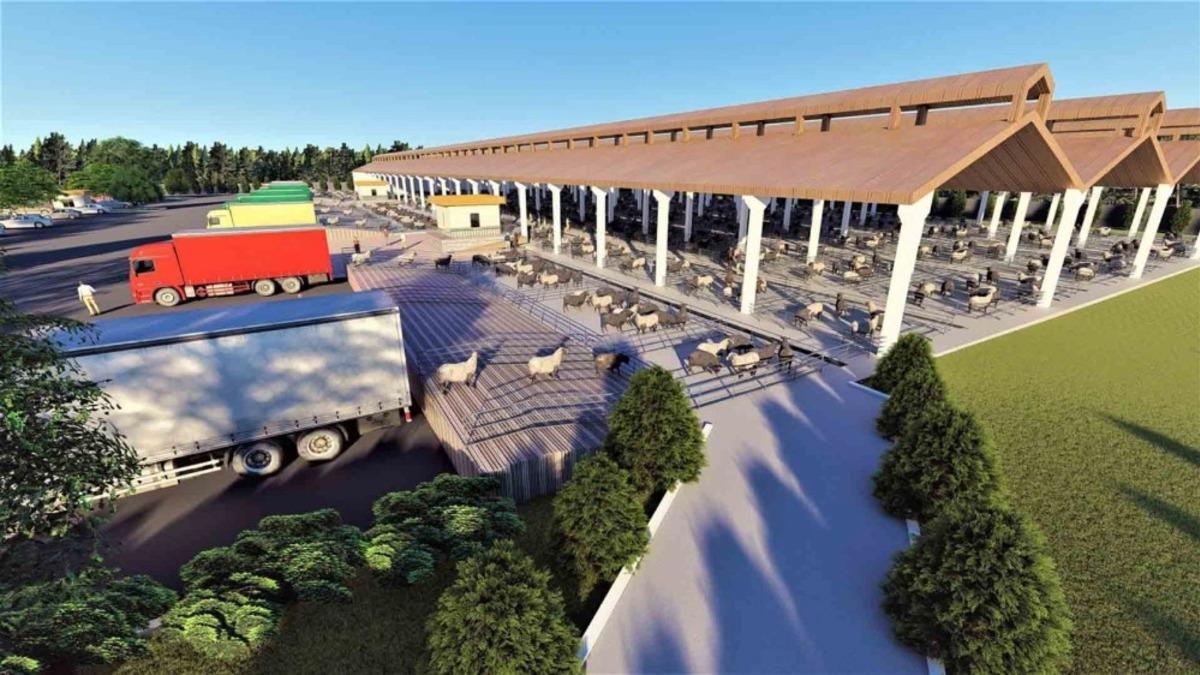 Şanlıurfa&rsquo;da hayvan borsası &ccedil;alışması