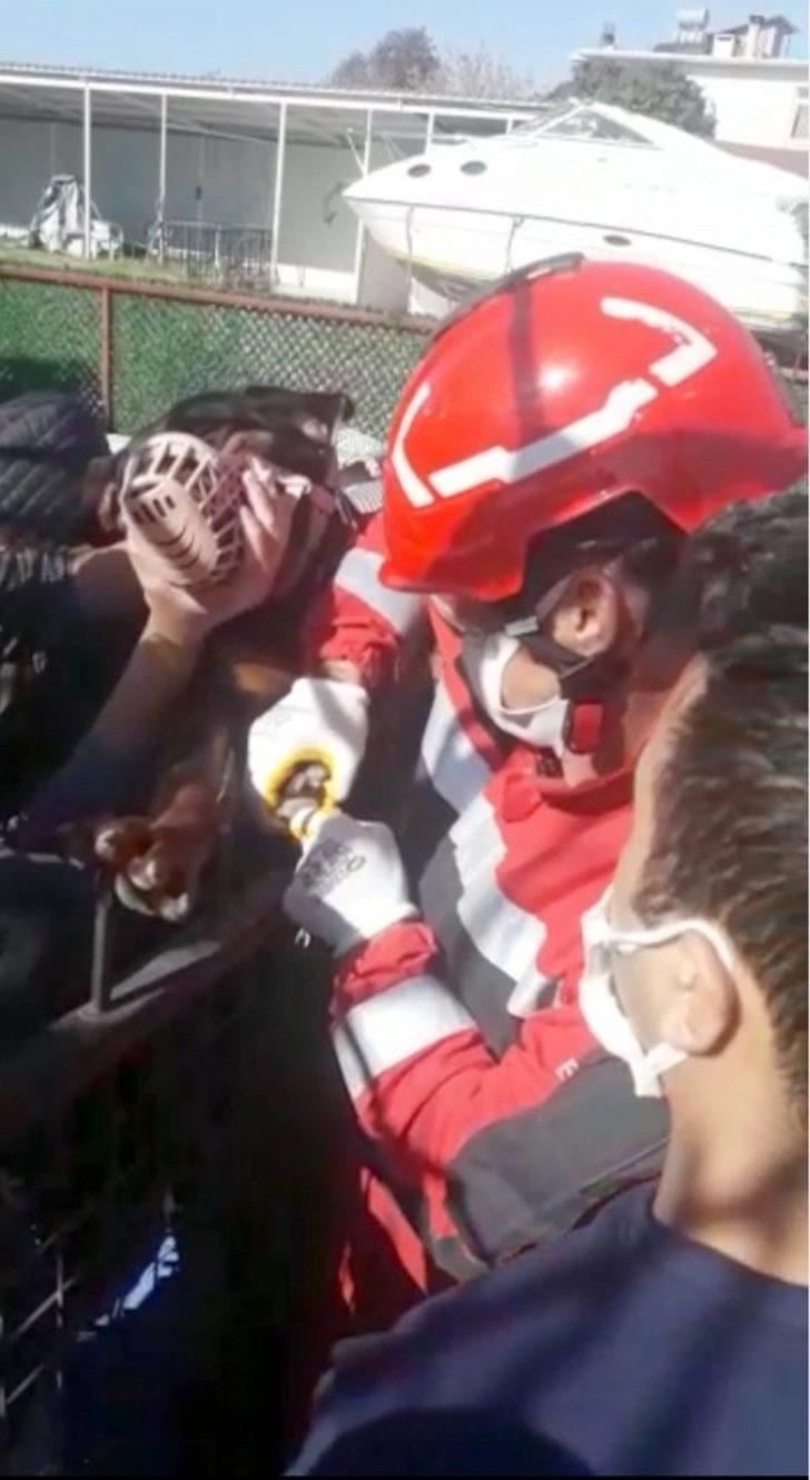 Ayağı demir korkuluğa saplanan köpek kurtarıldı G2
