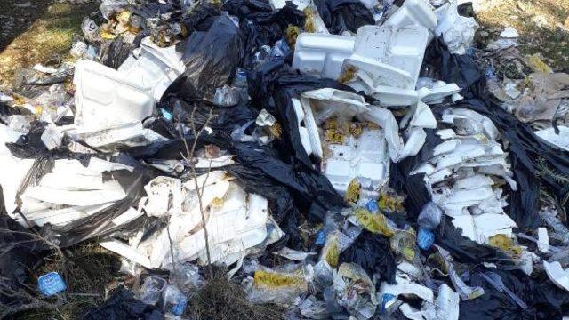 Belediye Başkanı böyle isyan etti! 'Ayıptır, günahtır'