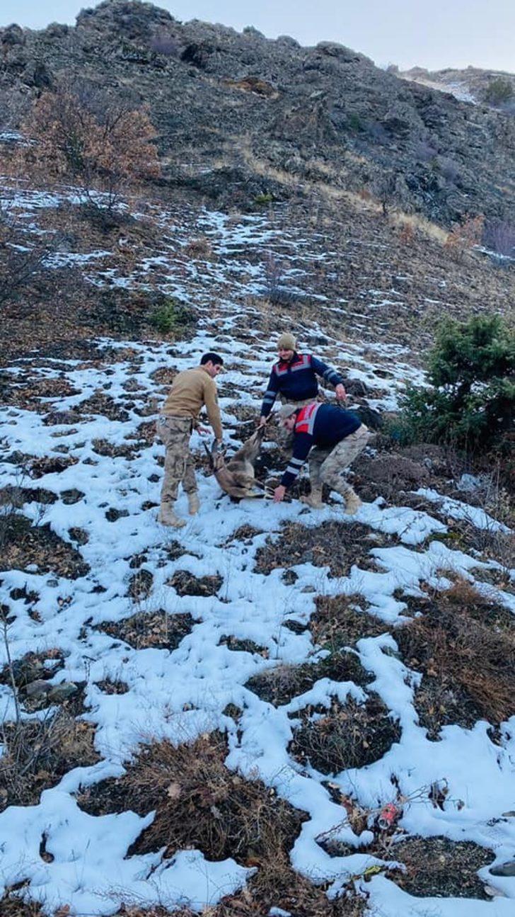 Yaban keçisi avı 38 bin liraya patladı G3