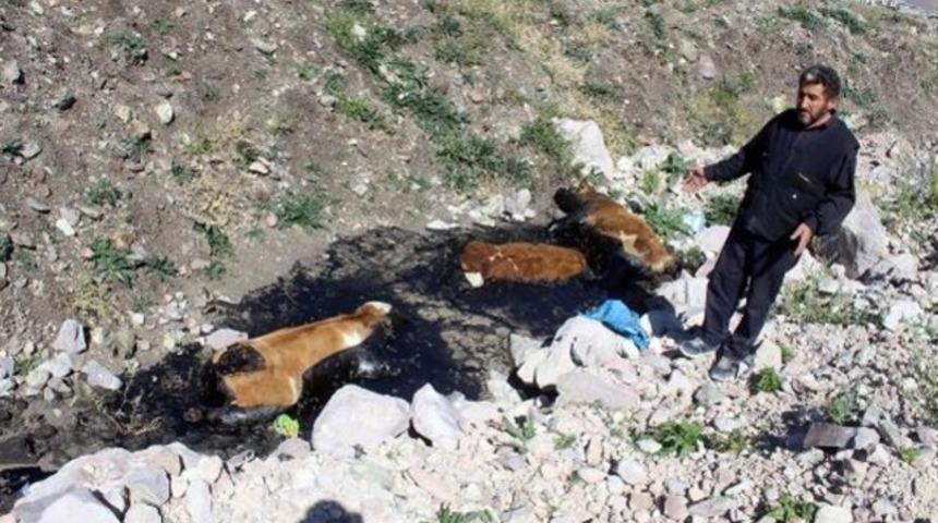 9 g&uuml;n &ouml;nce kaybolmuşlardı! Korkun&ccedil; olay...