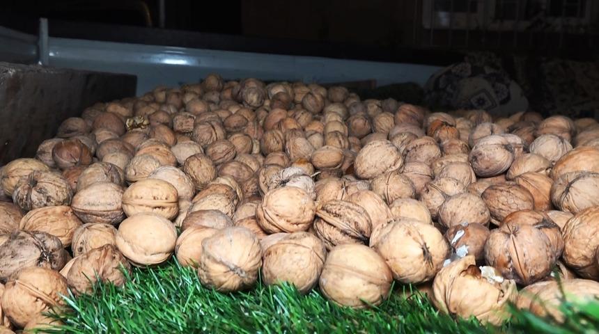 Ceviz kalp krizi riskini azaltıyor