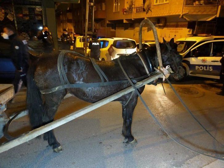 İnşaat malzemeleri çalan at arabalı 3 kadın hırsız yakalandı G2