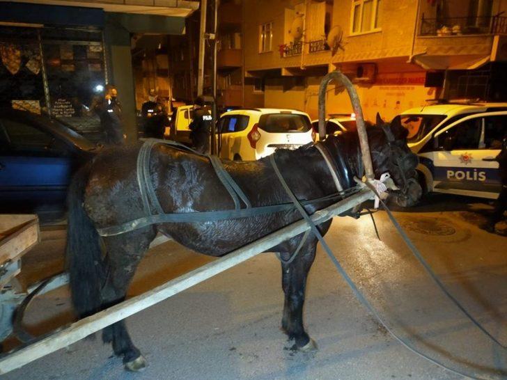 İnşaat malzemeleri çalan at arabalı 3 kadın hırsız yakalandı G3