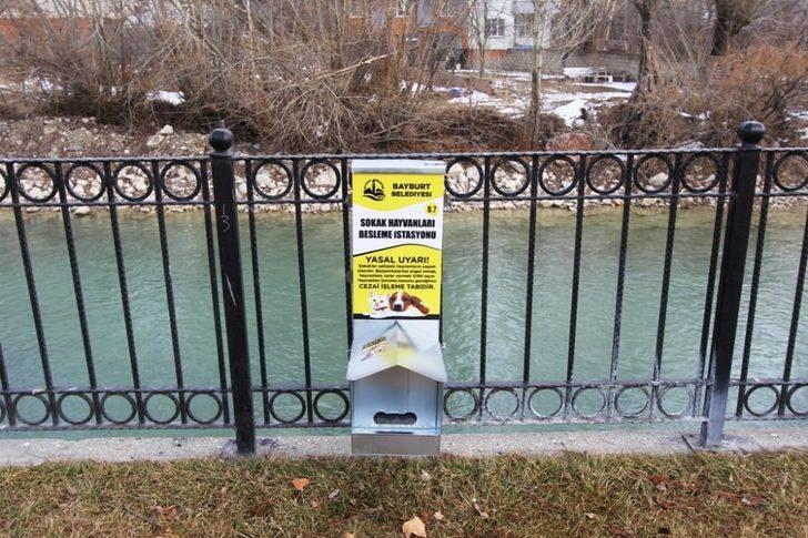 Sokak hayvanları için besleme istasyonları kuruluyor G4