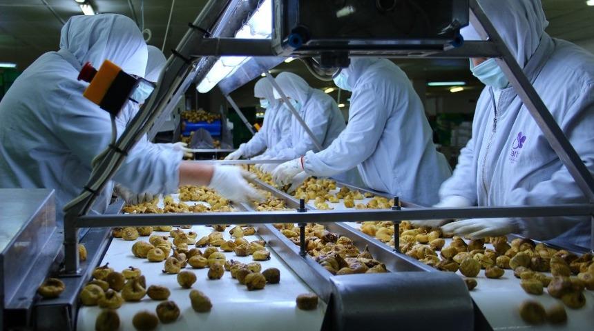 Aydın&rsquo;dan d&uuml;nyaya 152 bin ton bitkisel ve hayvansal &uuml;r&uuml;n ihra&ccedil; edildi