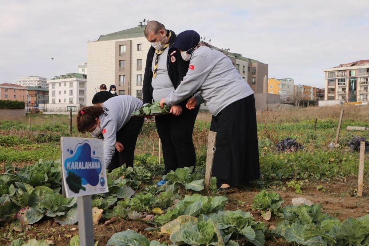Engelli izcilerin organik &uuml;r&uuml;nleri pandemi s&uuml;recinde b&uuml;y&uuml;k ilgi g&ouml;r&uuml;yor
