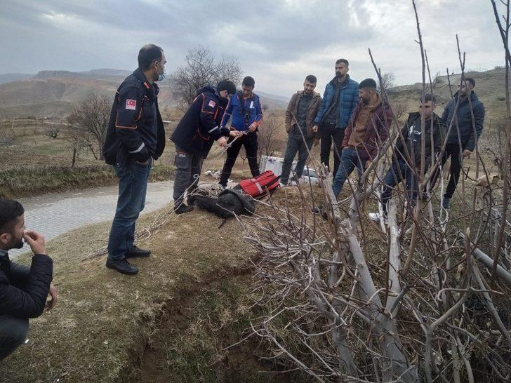 Siirt’te kör kuyuya düşen keçiyi AFAD ekipleri kurtardı G1