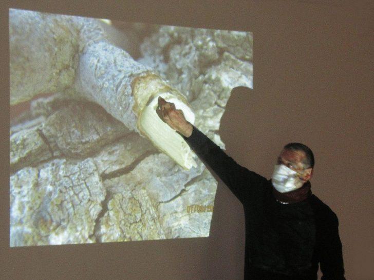 Antep fıstığında entegre mücadele G2