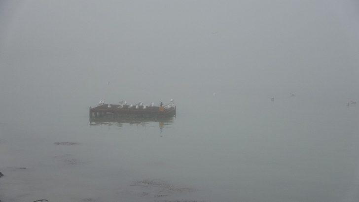 Çanakkale Boğazı yoğun sis nedeniyle trafiğe kapandı G2