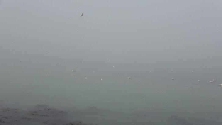 Çanakkale Boğazı yoğun sis nedeniyle trafiğe kapandı G4